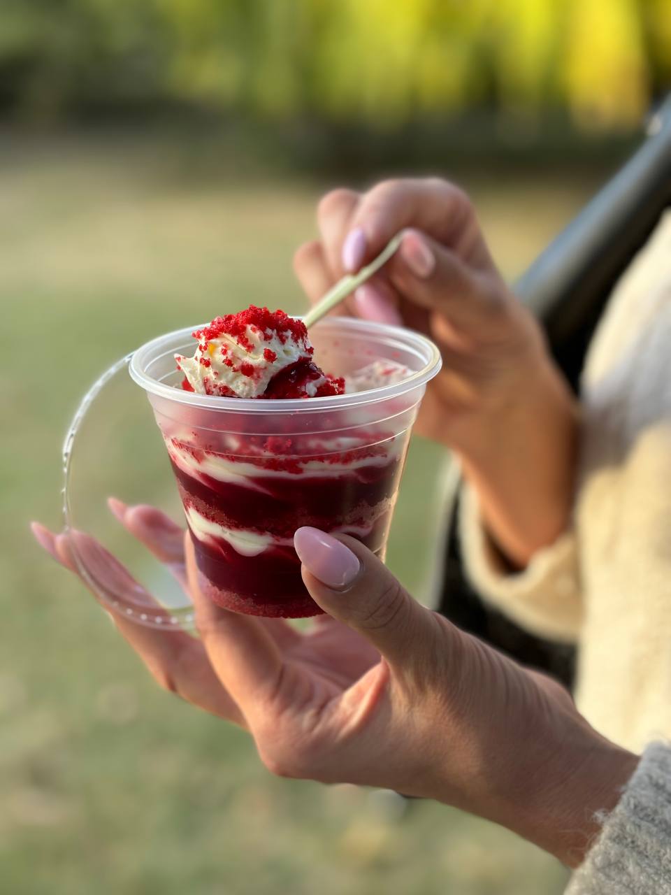 trifle photo 4