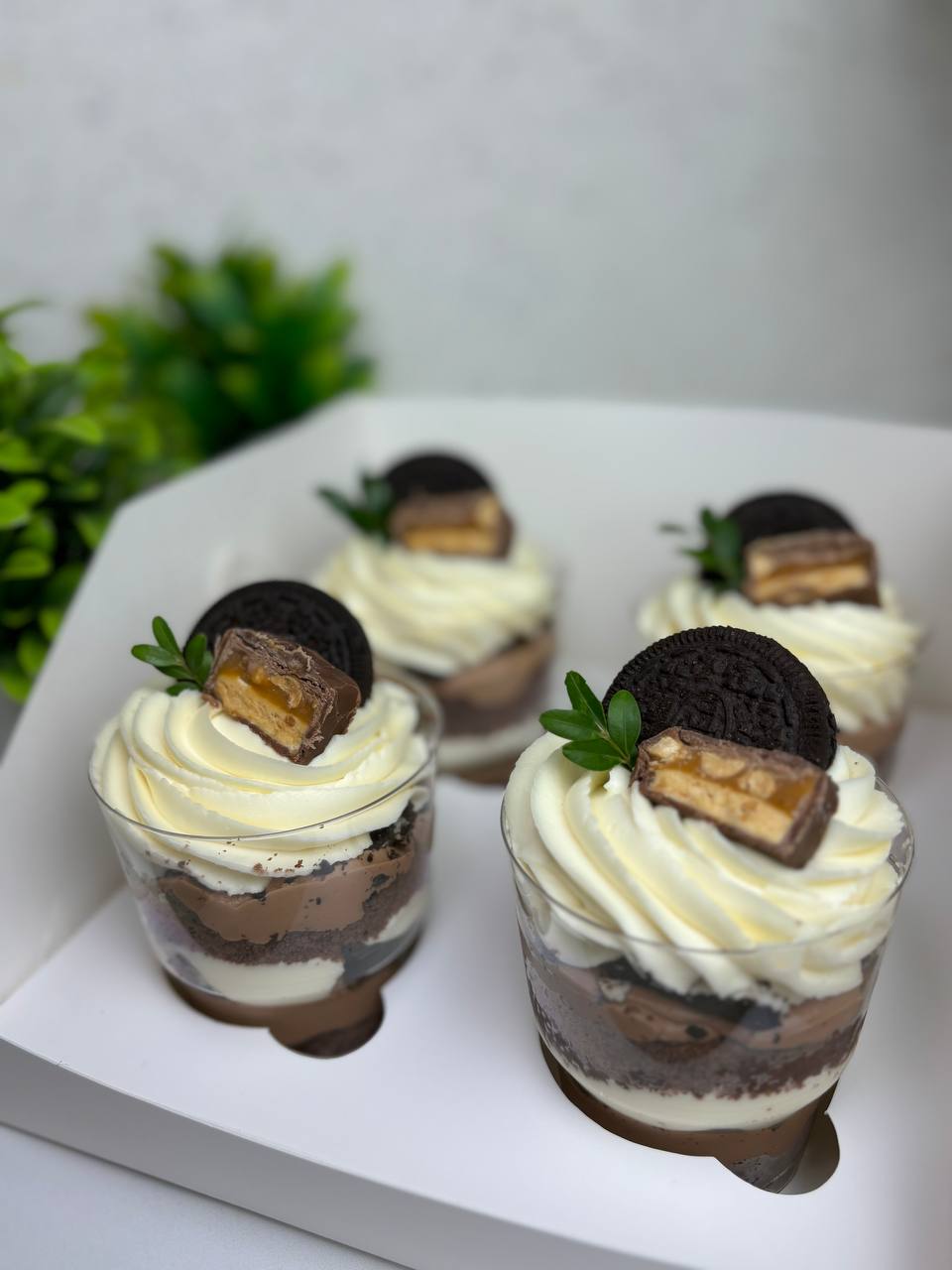 trifle photo 5